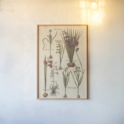 Vintage Florilegium III by Wild Apple Portfolio. shown as a paper print in a natural frame. Available as a archival giclee rolled canvas, fine art paper, or poster print. SKU 45409h.