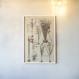 Vintage Florilegium III by Wild Apple Portfolio. shown as a paper print in a white frame. Available as a archival giclee rolled canvas, fine art paper, or poster print. SKU 45409h.