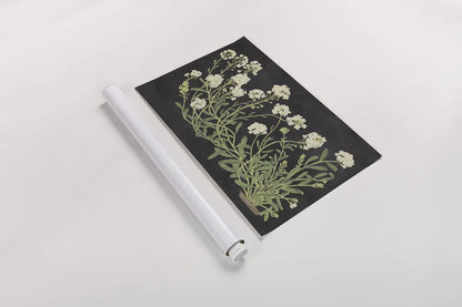 Vintage Flowers on Black by Wild Apple Portfolio. shown as a rolled paper print. Available as archival giclee rolled canvas, fine art paper, or poster print. SKU 81008i.
