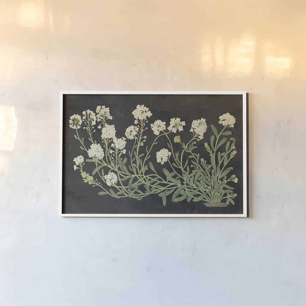 Vintage Flowers on Black by Wild Apple Portfolio. shown as a paper print in a white frame. Available as a archival giclee rolled canvas, fine art paper, or poster print. SKU 81008i.