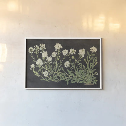 Vintage Flowers on Black by Wild Apple Portfolio. shown as a paper print in a white frame. Available as a archival giclee rolled canvas, fine art paper, or poster print. SKU 81008i.