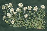 Vintage Flowers on Green by Wild Apple Portfolio. SKU 86643i. Archival Giclee Fine art print for wall decor.