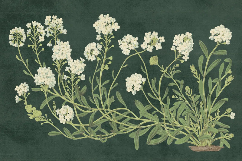 Vintage Flowers on Green by Wild Apple Portfolio. SKU 86643i. Archival Giclee Fine art print for wall decor.