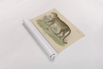 Vintage Leopard by Wild Apple Portfolio. shown as a rolled paper print. Available as archival giclee rolled canvas, fine art paper, or poster print. SKU 45679i.