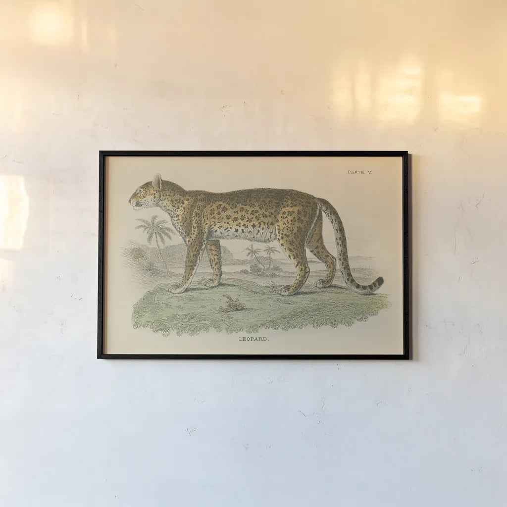 Vintage Leopard by Wild Apple Portfolio. shown as a paper print in a black flame. Available as a archival giclee rolled canvas, fine art paper, or poster print. SKU 45679i.