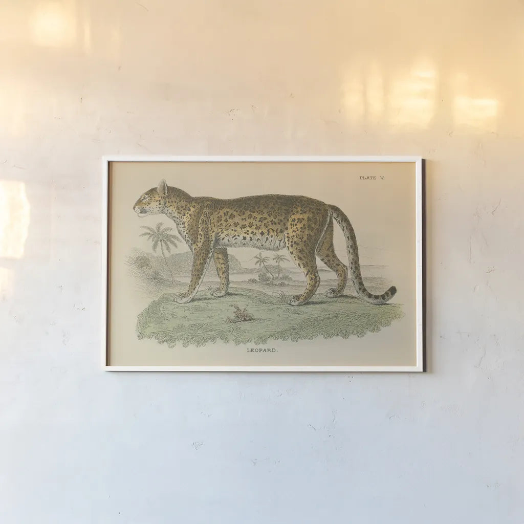 Vintage Leopard by Wild Apple Portfolio. shown as a paper print in a white frame. Available as a archival giclee rolled canvas, fine art paper, or poster print. SKU 45679i.