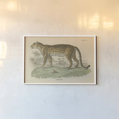 Vintage Leopard by Wild Apple Portfolio. shown as a paper print in a white frame. Available as a archival giclee rolled canvas, fine art paper, or poster print. SKU 45679i.
