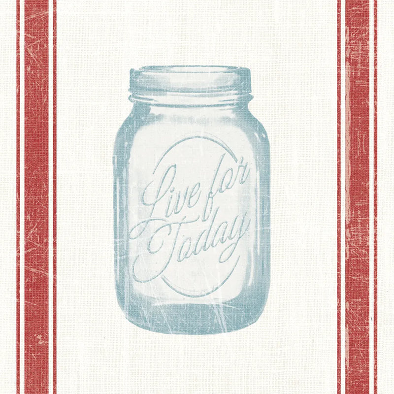 Vintage Mason Jar II by Wild Apple Portfolio. SKU 57423a. Archival Giclee Fine art print for wall decor.