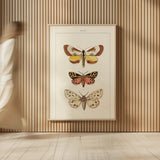 Vintage Moths II by Wild Apple Portfolio. shown as over sized large wall art. Available as an archival giclee rolled canvas, fine art paper, or poster print. SKU 93459h.
