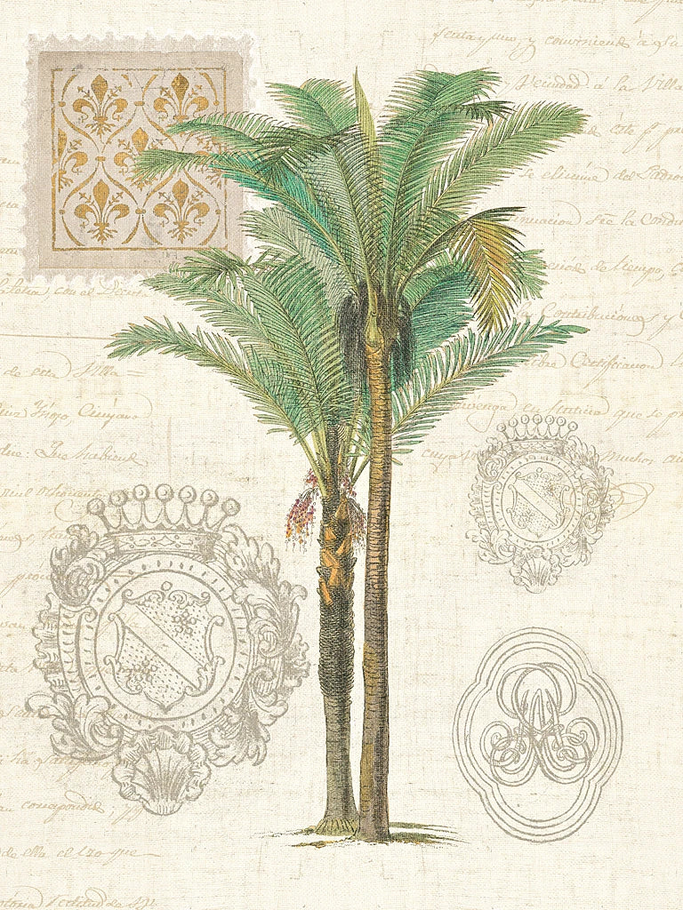 Vintage Palm Study II by Wild Apple Portfolio