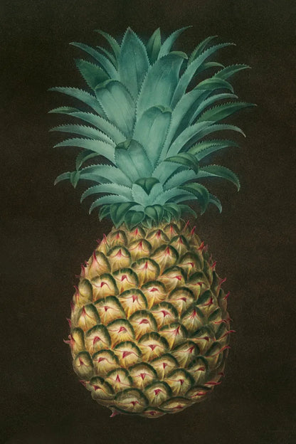 Vintage Pineapple I by Wild Apple Portfolio. SKU 81201h. Archival Giclee Fine art print for wall decor.