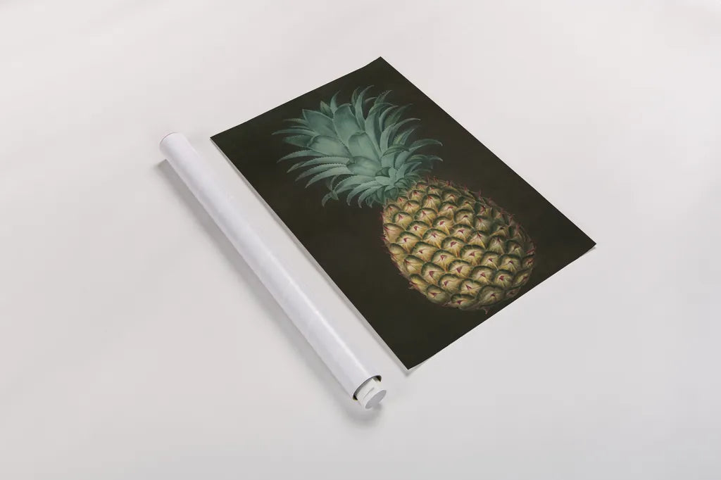 Vintage Pineapple I by Wild Apple Portfolio. shown as a rolled paper print. Available as archival giclee rolled canvas, fine art paper, or poster print. SKU 81201h.