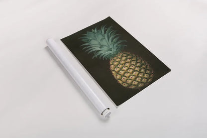 Vintage Pineapple I by Wild Apple Portfolio. shown as a rolled paper print. Available as archival giclee rolled canvas, fine art paper, or poster print. SKU 81201h.