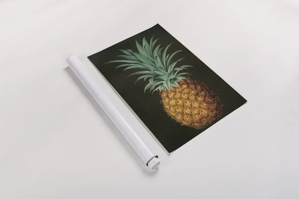 Vintage Pineapple II by Wild Apple Portfolio. shown as a rolled paper print. Available as archival giclee rolled canvas, fine art paper, or poster print. SKU 81202h.