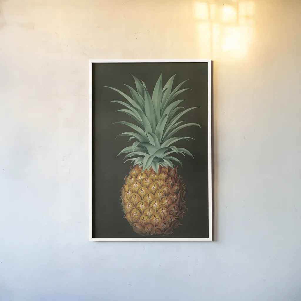 Vintage Pineapple II by Wild Apple Portfolio. shown as a paper print in a white frame. Available as a archival giclee rolled canvas, fine art paper, or poster print. SKU 81202h.