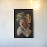 Vintage Shell Toss I by Wild Apple Portfolio. shown as a paper print in a black flame. Available as a archival giclee rolled canvas, fine art paper, or poster print. SKU 104825h.