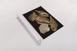 Vintage Shell Toss II by Wild Apple Portfolio. shown as a rolled paper print. Available as archival giclee rolled canvas, fine art paper, or poster print. SKU 104826h.