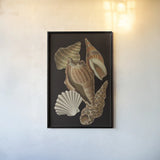 Vintage Shell Toss II by Wild Apple Portfolio. shown as a paper print in a black flame. Available as a archival giclee rolled canvas, fine art paper, or poster print. SKU 104826h.