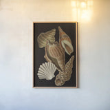 Vintage Shell Toss II by Wild Apple Portfolio. shown as a paper print in a natural frame. Available as a archival giclee rolled canvas, fine art paper, or poster print. SKU 104826h.