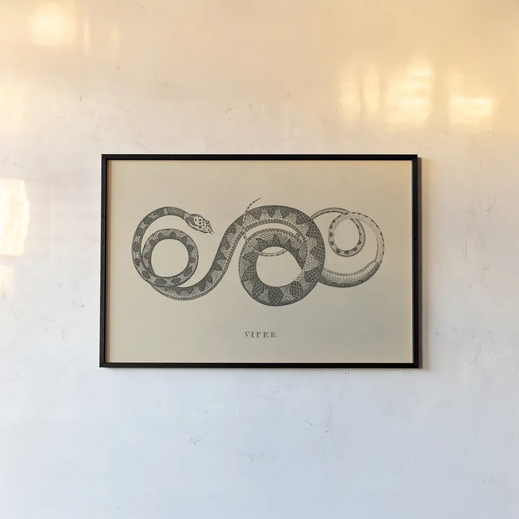 Vintage Viper by Wild Apple Portfolio. shown as a paper print in a black flame. Available as a archival giclee rolled canvas, fine art paper, or poster print. SKU 49041i.