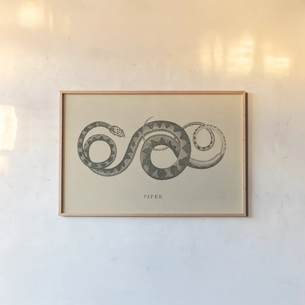 Vintage Viper by Wild Apple Portfolio. shown as a paper print in a natural frame. Available as a archival giclee rolled canvas, fine art paper, or poster print. SKU 49041i.