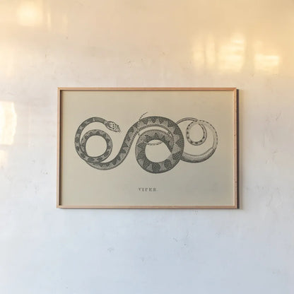 Vintage Viper by Wild Apple Portfolio. shown as a paper print in a natural frame. Available as a archival giclee rolled canvas, fine art paper, or poster print. SKU 49041i.
