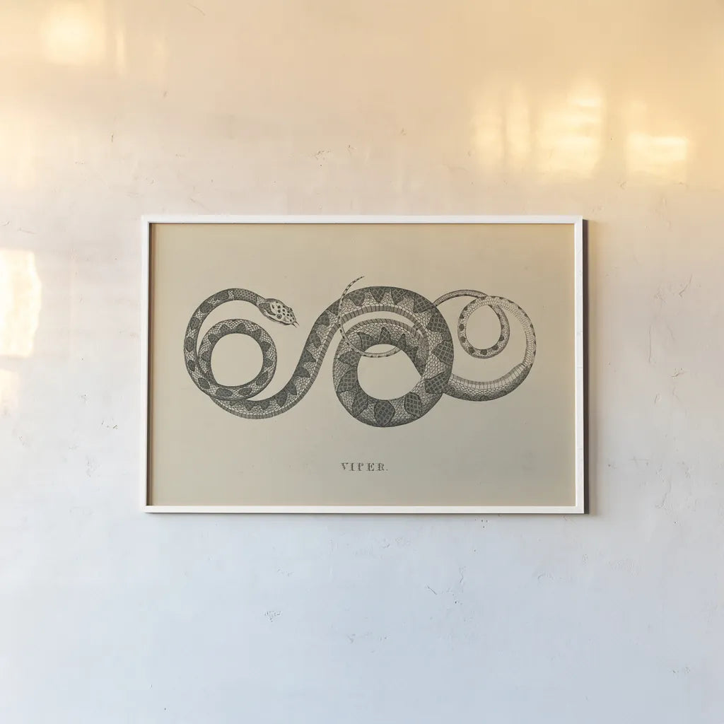 Vintage Viper by Wild Apple Portfolio. shown as a paper print in a white frame. Available as a archival giclee rolled canvas, fine art paper, or poster print. SKU 49041i.