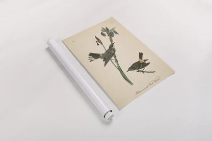 Vintage Warbler I by Wild Apple Portfolio. shown as a rolled paper print. Available as archival giclee rolled canvas, fine art paper, or poster print. SKU 89569h.