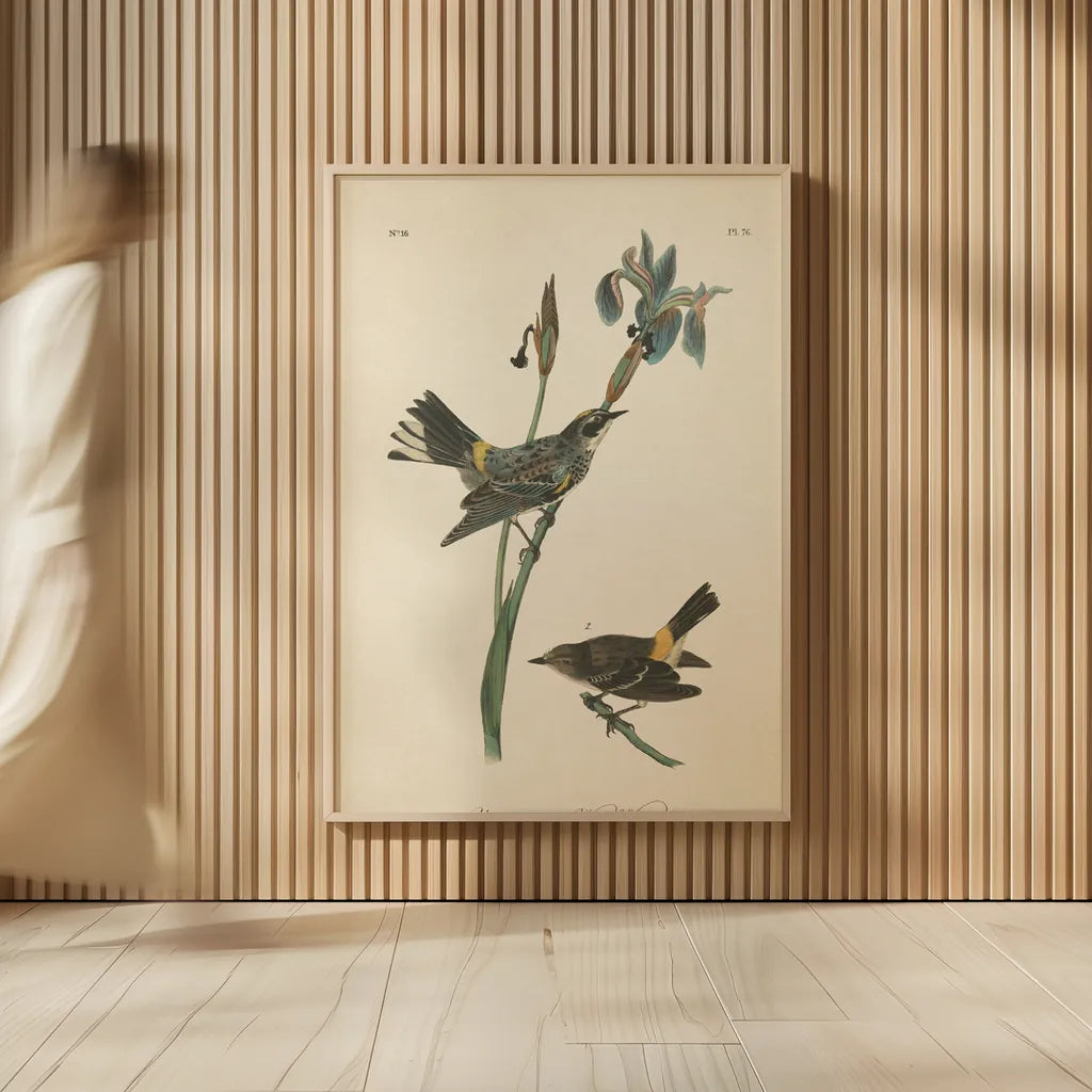 Vintage Warbler I by Wild Apple Portfolio. shown as over sized large wall art. Available as an archival giclee rolled canvas, fine art paper, or poster print. SKU 89569h.