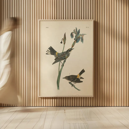 Vintage Warbler I by Wild Apple Portfolio. shown as over sized large wall art. Available as an archival giclee rolled canvas, fine art paper, or poster print. SKU 89569h.