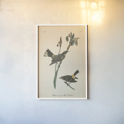 Vintage Warbler I by Wild Apple Portfolio. shown as a paper print in a white frame. Available as a archival giclee rolled canvas, fine art paper, or poster print. SKU 89569h.
