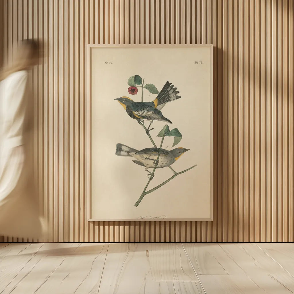 Vintage Warbler II by Wild Apple Portfolio. shown as over sized large wall art. Available as an archival giclee rolled canvas, fine art paper, or poster print. SKU 89570h.