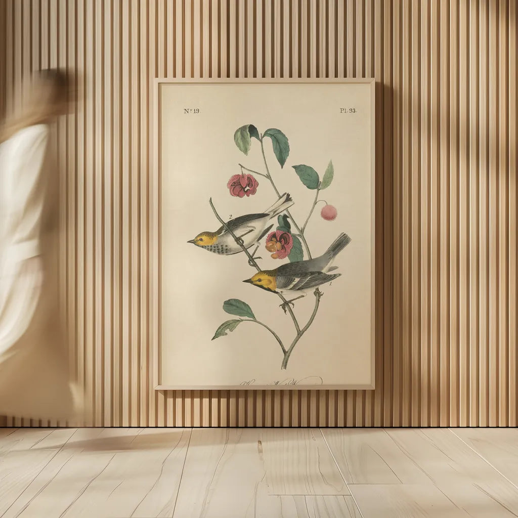 Vintage Warbler IV by Wild Apple Portfolio. shown as over sized large wall art. Available as an archival giclee rolled canvas, fine art paper, or poster print. SKU 89572h.