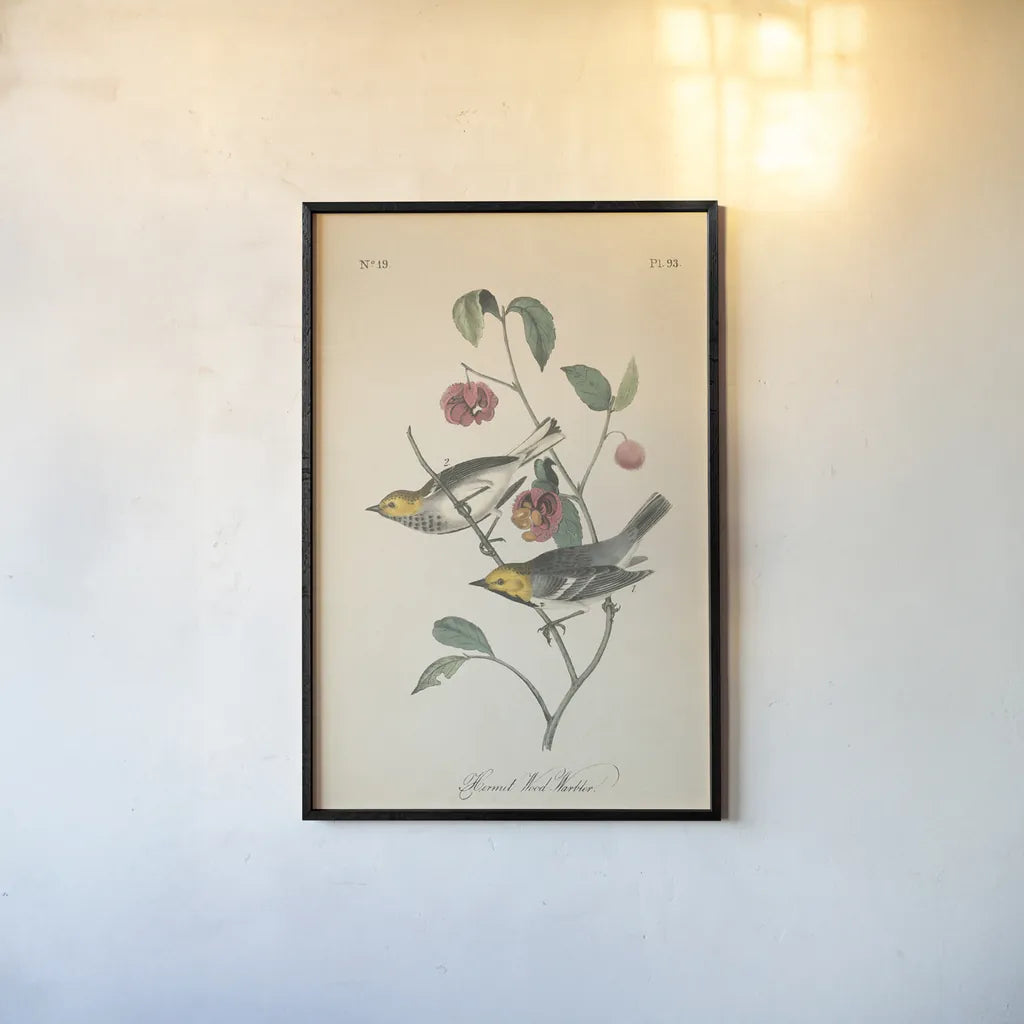 Vintage Warbler IV by Wild Apple Portfolio. shown as a paper print in a black flame. Available as a archival giclee rolled canvas, fine art paper, or poster print. SKU 89572h.