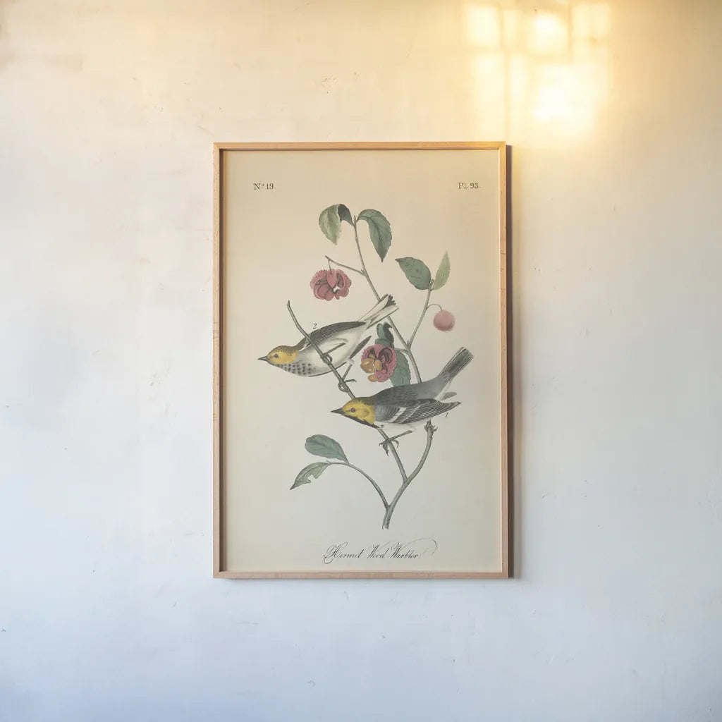 Vintage Warbler IV by Wild Apple Portfolio. shown as a paper print in a natural frame. Available as a archival giclee rolled canvas, fine art paper, or poster print. SKU 89572h.
