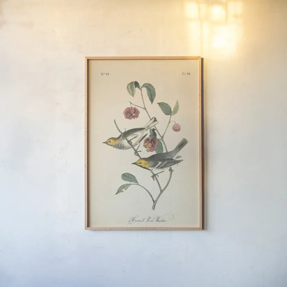 Vintage Warbler IV by Wild Apple Portfolio. shown as a paper print in a natural frame. Available as a archival giclee rolled canvas, fine art paper, or poster print. SKU 89572h.