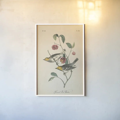 Vintage Warbler IV by Wild Apple Portfolio. shown as a paper print in a white frame. Available as a archival giclee rolled canvas, fine art paper, or poster print. SKU 89572h.