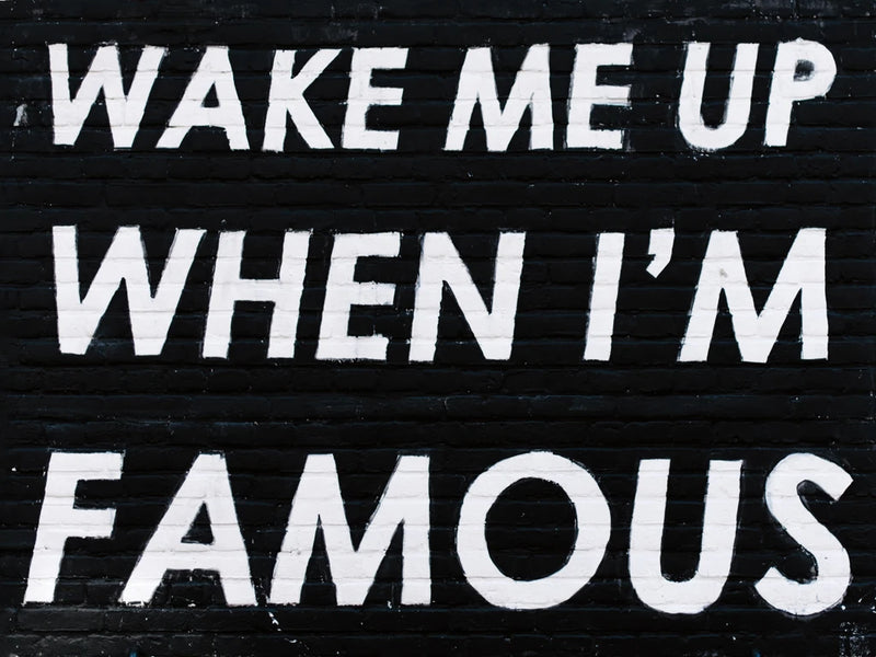 Wake Me When Famous by Wild Apple Portfolio