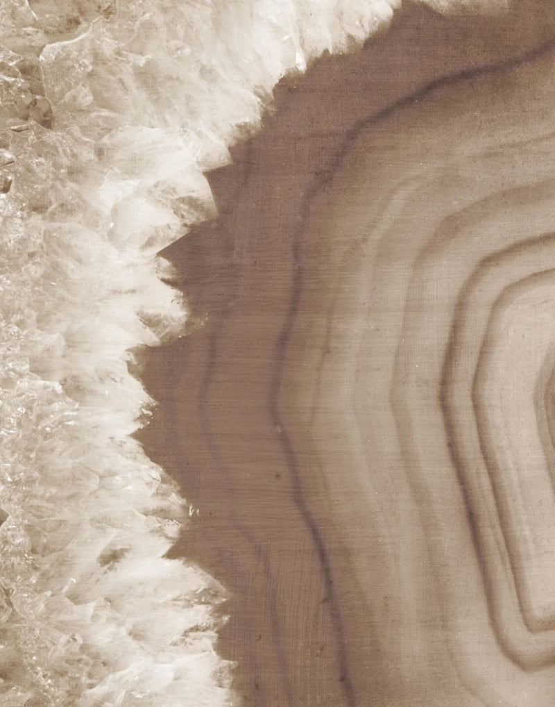 Warm Agate Geode I by Wild Apple Portfolio