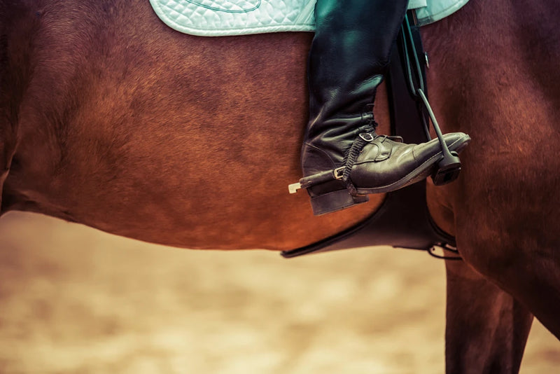 Western Rider by Wild Apple Portfolio