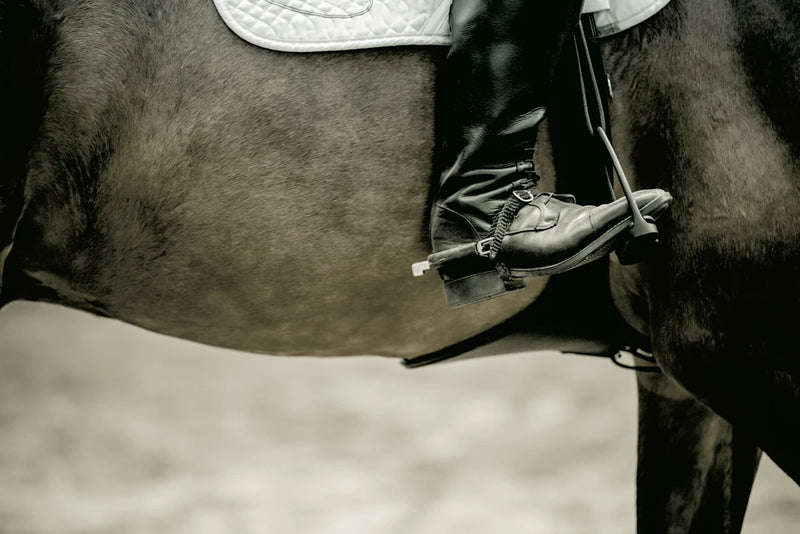 Western Rider Sepia by Wild Apple Portfolio
