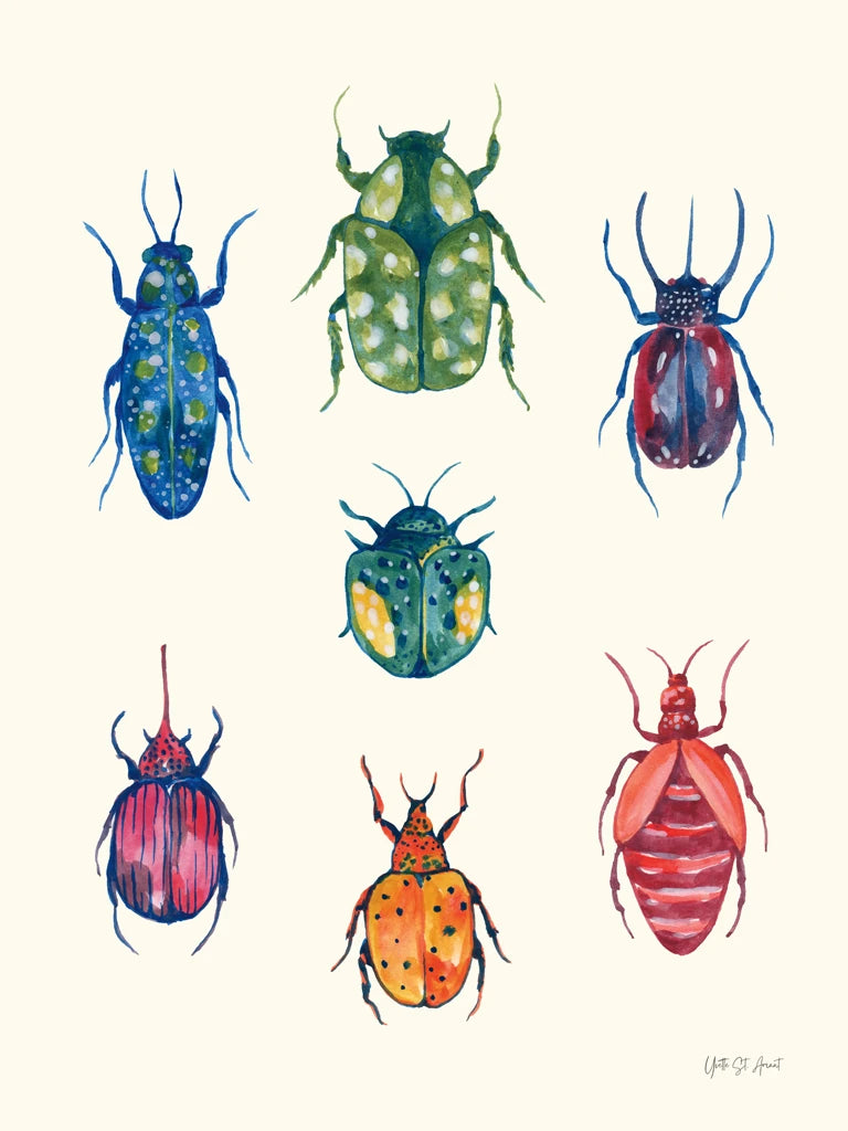 Beetle Chart by Yvette St. Amant