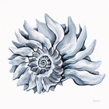 Coastal Imperial Shell Navy by Yvette St. Amant. SKU 91168a. Archival Giclee Fine art print for wall decor.