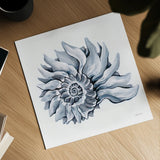 Coastal Imperial Shell Navy by Yvette St. Amant. Shown as a detailed flat fine art print, highlighting archival giclee quality. Available as an archival giclee rolled canvas, fine art paper, or poster print. SKU 91168a.