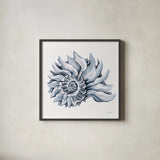 Coastal Imperial Shell Navy by Yvette St. Amant. Shown in a sleek black glass frame for a contemporary gallery look. Available as an archival giclee rolled canvas, fine art paper, or poster print. SKU 91168a.