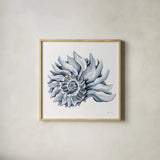Coastal Imperial Shell Navy by Yvette St. Amant. Shown in a natural wood glass frame for a timeless modern aesthetic. Available as an archival giclee rolled canvas, fine art paper, or poster print. SKU 91168a.