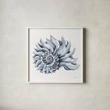 Coastal Imperial Shell Navy by Yvette St. Amant. Shown in a crisp white glass frame for a clean and minimalist style. Available as an archival giclee rolled canvas, fine art paper, or poster print. SKU 91168a.