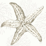 Coastal Reef III by Yvette St. Amant. SKU 94006a. Archival Giclee Fine art print for wall decor.