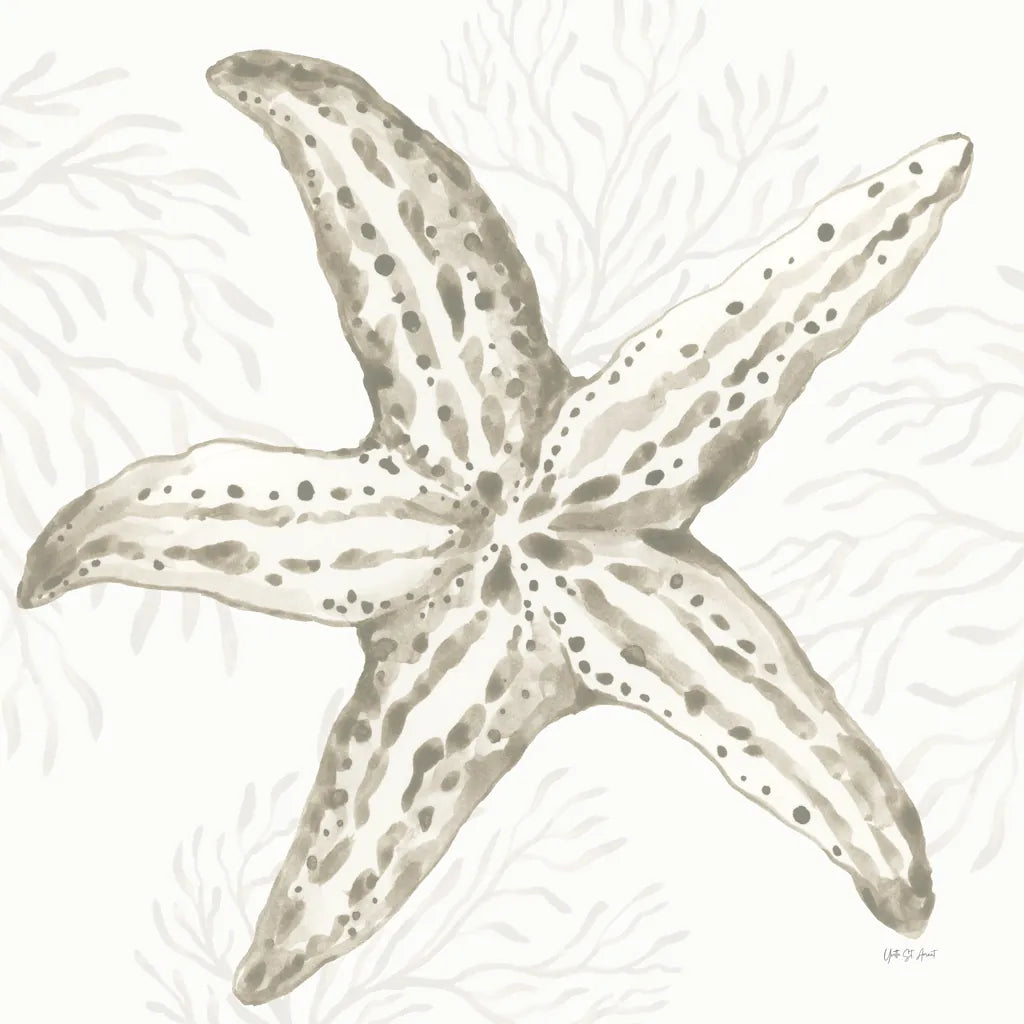 Coastal Reef III by Yvette St. Amant. SKU 94006a. Archival Giclee Fine art print for wall decor.