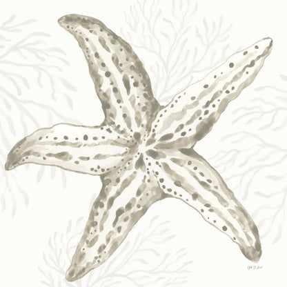 Coastal Reef III by Yvette St. Amant. SKU 94006a. Archival Giclee Fine art print for wall decor.